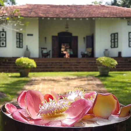 Bed and Breakfast Templeberg Walahanduwa Exterior foto