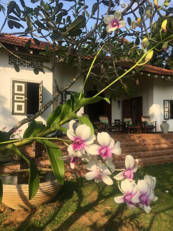 Bed and Breakfast Templeberg Walahanduwa Exterior foto