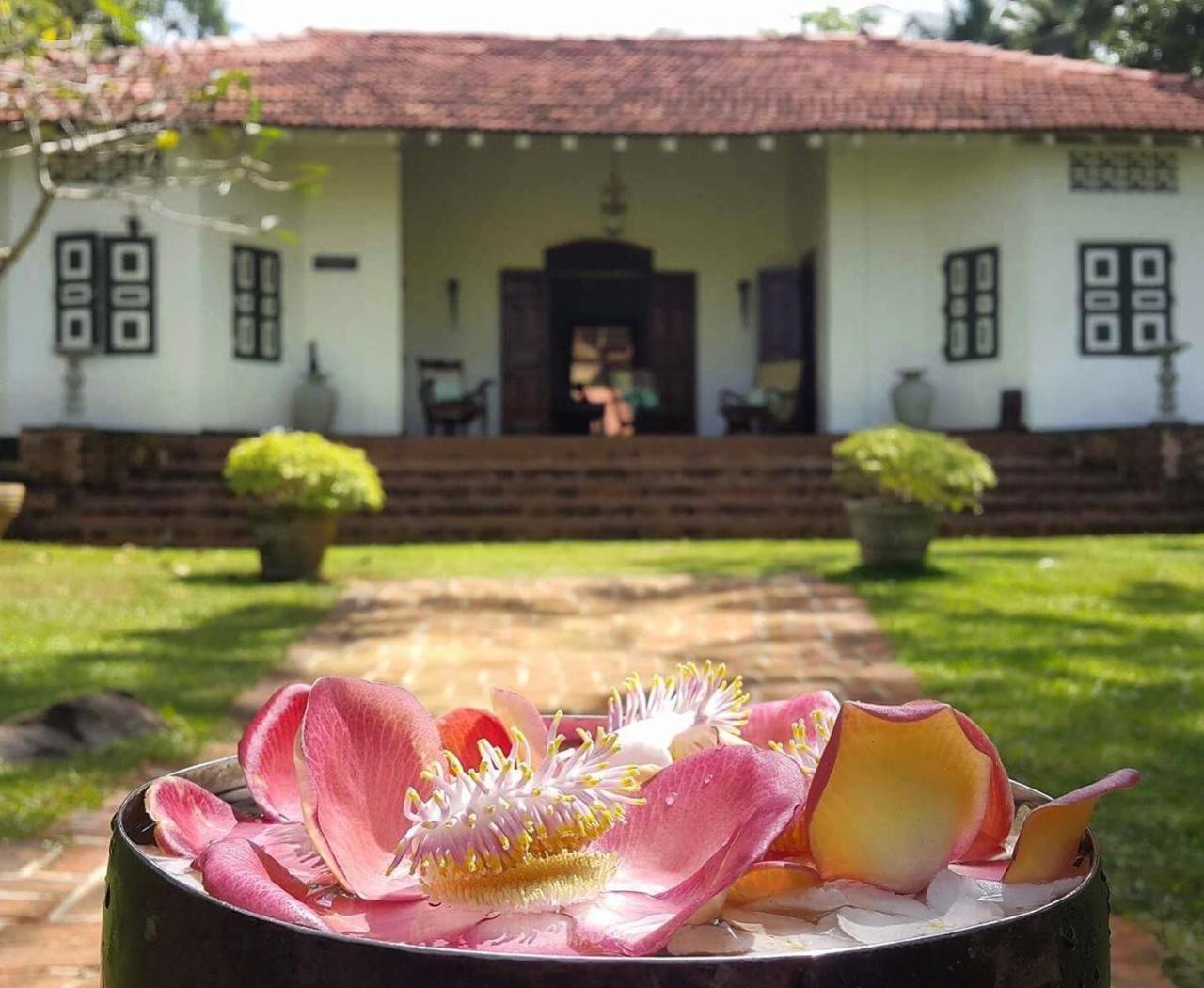 Bed and Breakfast Templeberg Walahanduwa Exterior foto