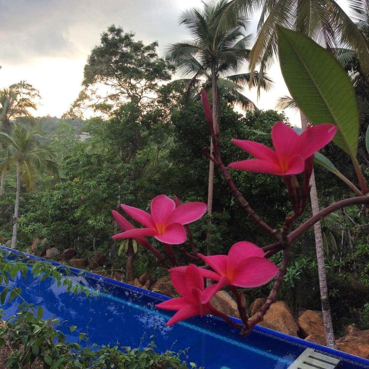 Bed and Breakfast Templeberg Walahanduwa Exterior foto